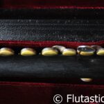 Haynes Grenadilla Wood Db Piccolo (1920s) (Used)-Excellent! - Image 8